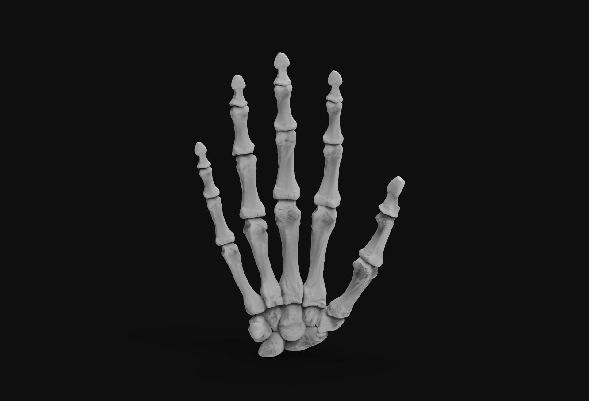 Skeleton Hand